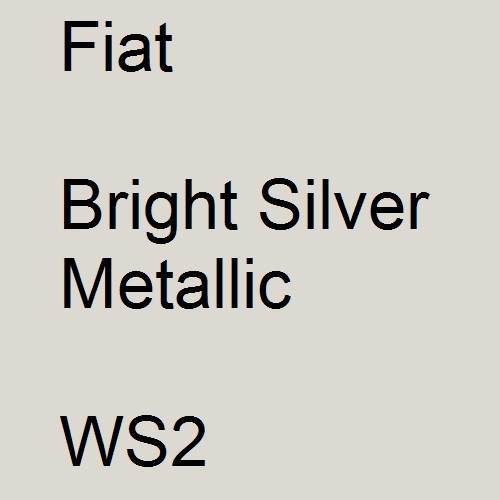 Fiat, Bright Silver Metallic, WS2.